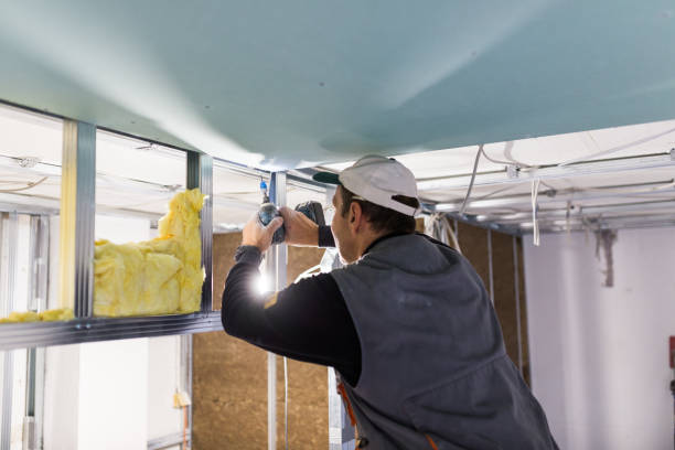 Best Wall Insulation Contractor  in Shelby, NC