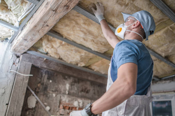 Best Local Insulation Services  in Shelby, NC