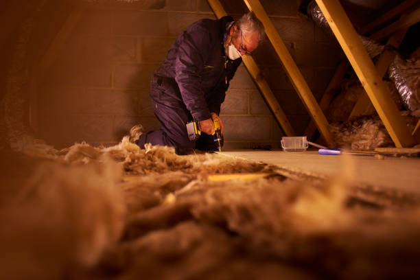 Best Insulation Inspection Services  in Shelby, NC